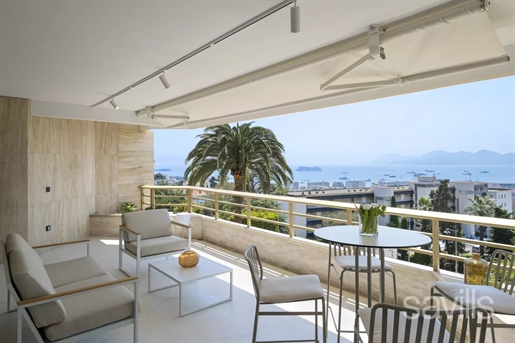 Cannes (Alpes-Maritimes) photo 3
