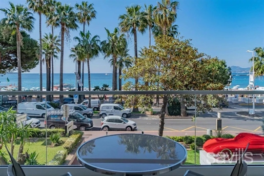 Cannes (Alpes-Maritimes)