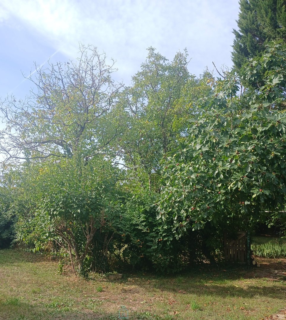 Maison à vendre, 100m², Ribérac