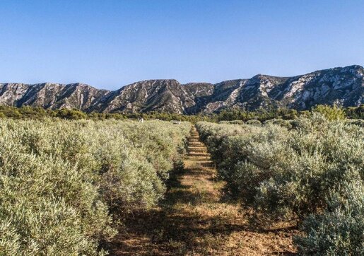 Terrain 884 m² · à Graveson · 884 m² · 280 000 €