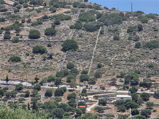 Advert pic 0