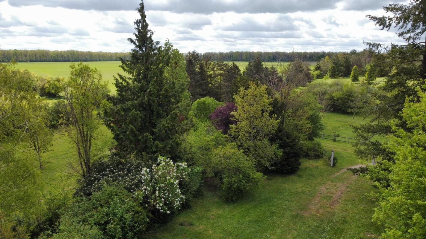 Maison à vendre, 480m², Pressigny-les-Pins