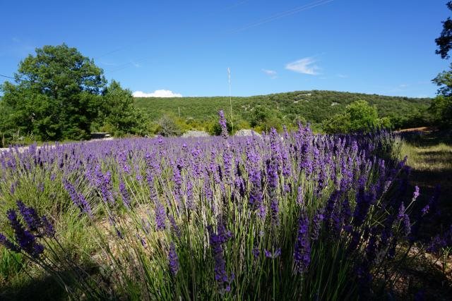 Maison à vendre, 552m², Banon