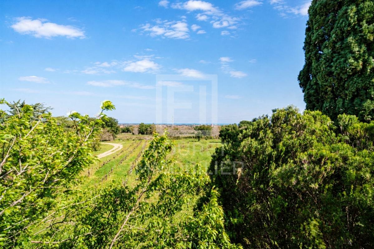 Maison à vendre, 230m², Argelès-sur-Mer