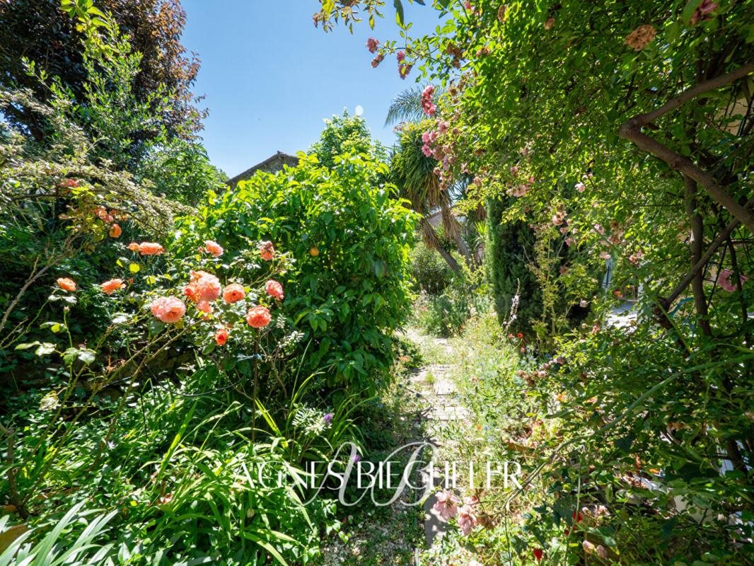 Maison à vendre, 270m², Montesquieu-des-Albères