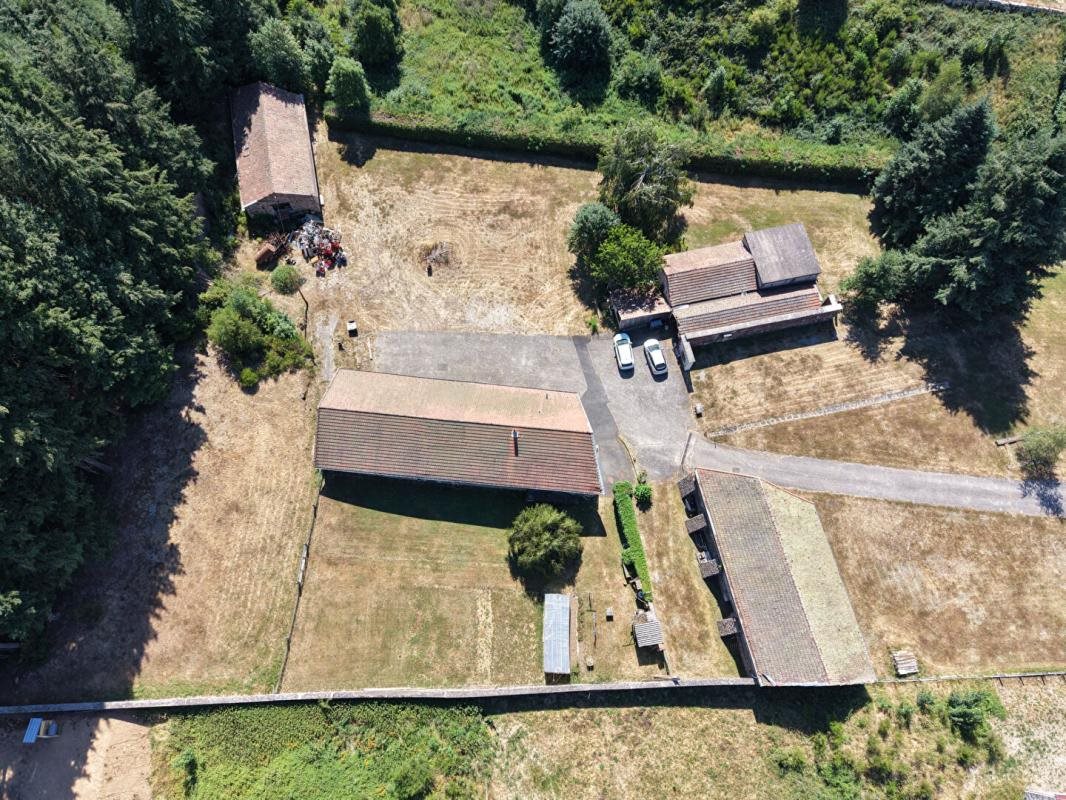 Maison à vendre, 260m², Saint-Pal-de-Mons