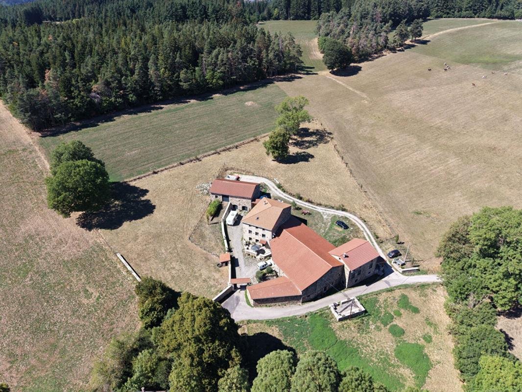 Maison à vendre, 318m², Saint-Didier-en-Velay