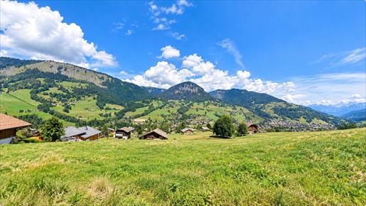 Terrain, terrain 888 m² — Praz-sur-Arly (Haute-Savoie) · 520 000 €