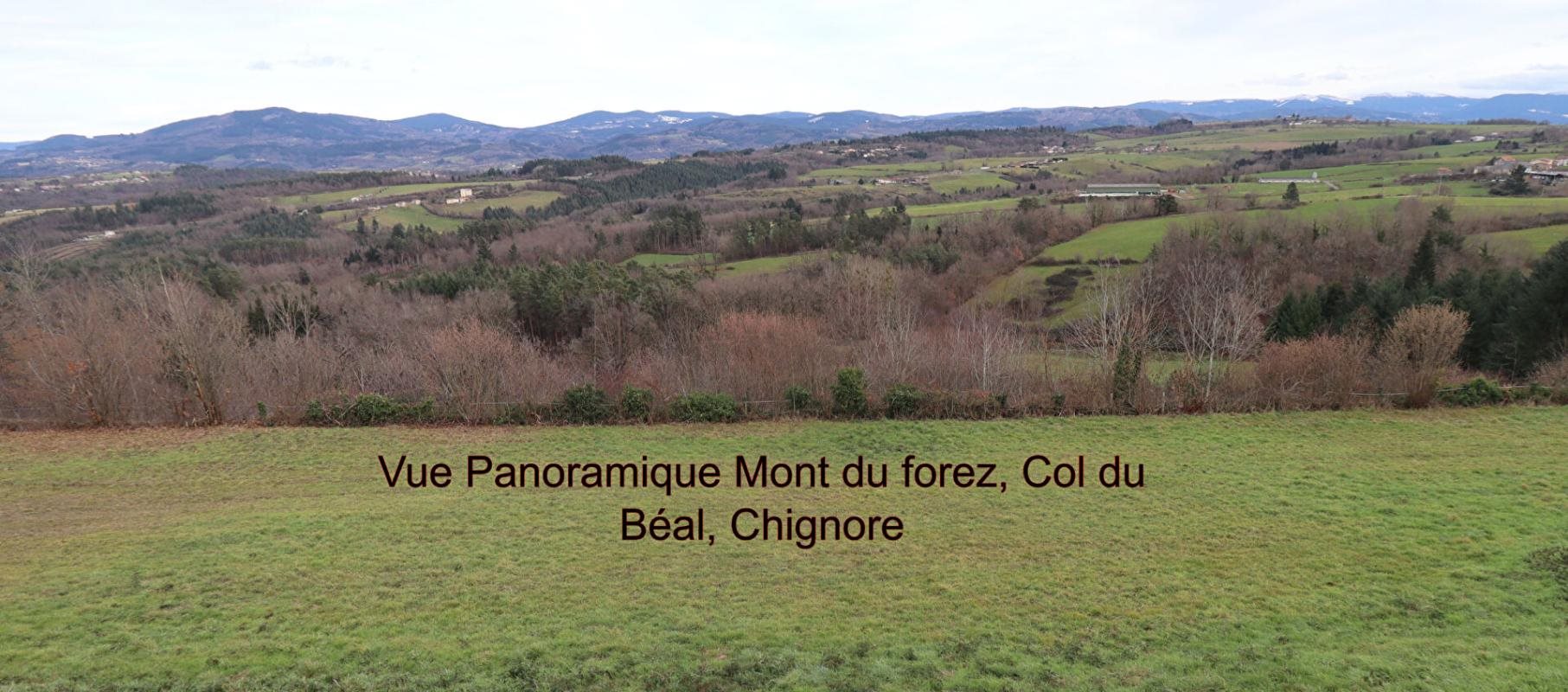 Maison à vendre, 90m², Sauviat