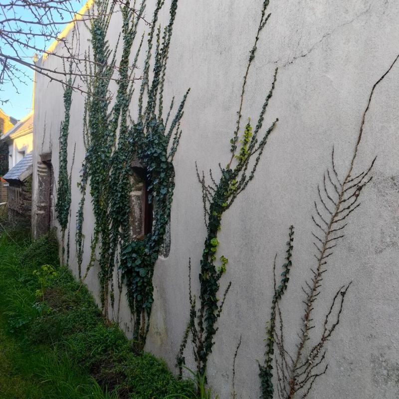 Maison à vendre, 31m², Groix