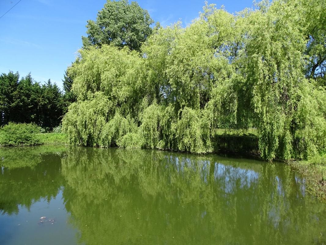 Maison à vendre, 195m², Sainte-Orse