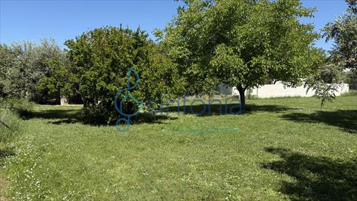 Maison 1000 m² · à Uzès · 1 000 m² · 250 000 €