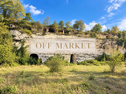 9 €/m² · à Saint-Épain · 10 000 m² · 85 000 €