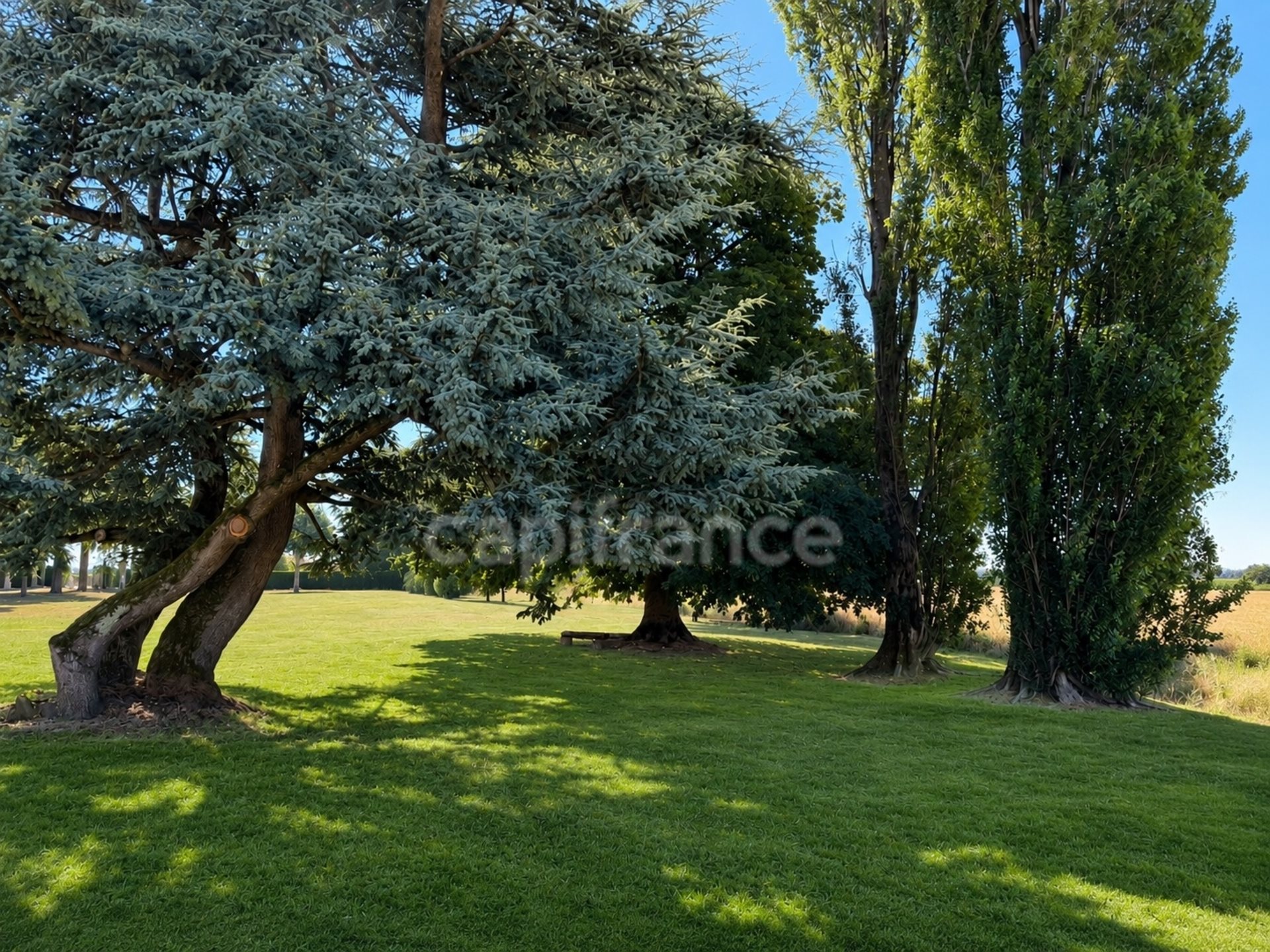 Maison à vendre, 343m², Saint-Jean-sur-Reyssouze