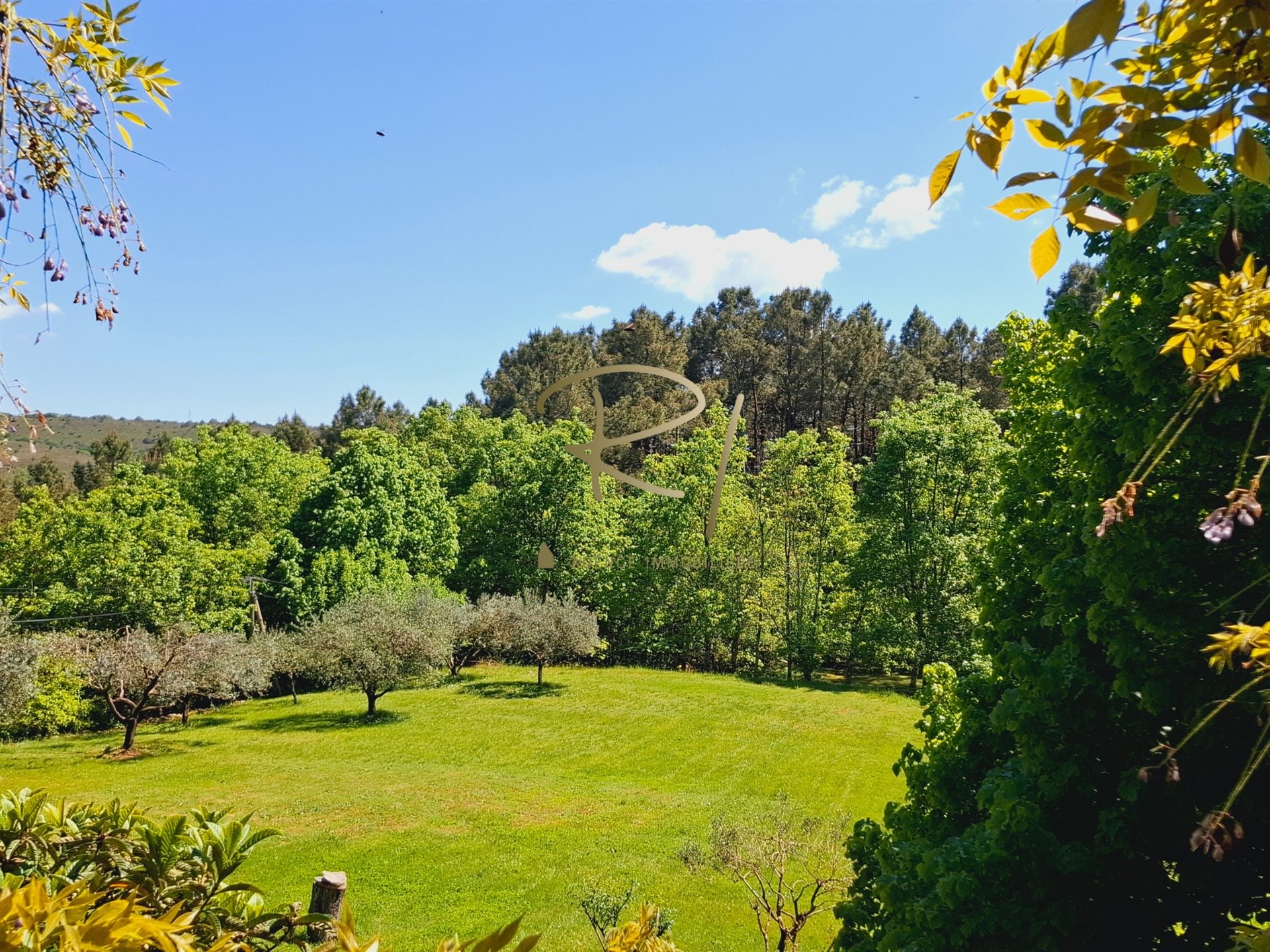 Maison à vendre, 245m², Ruoms