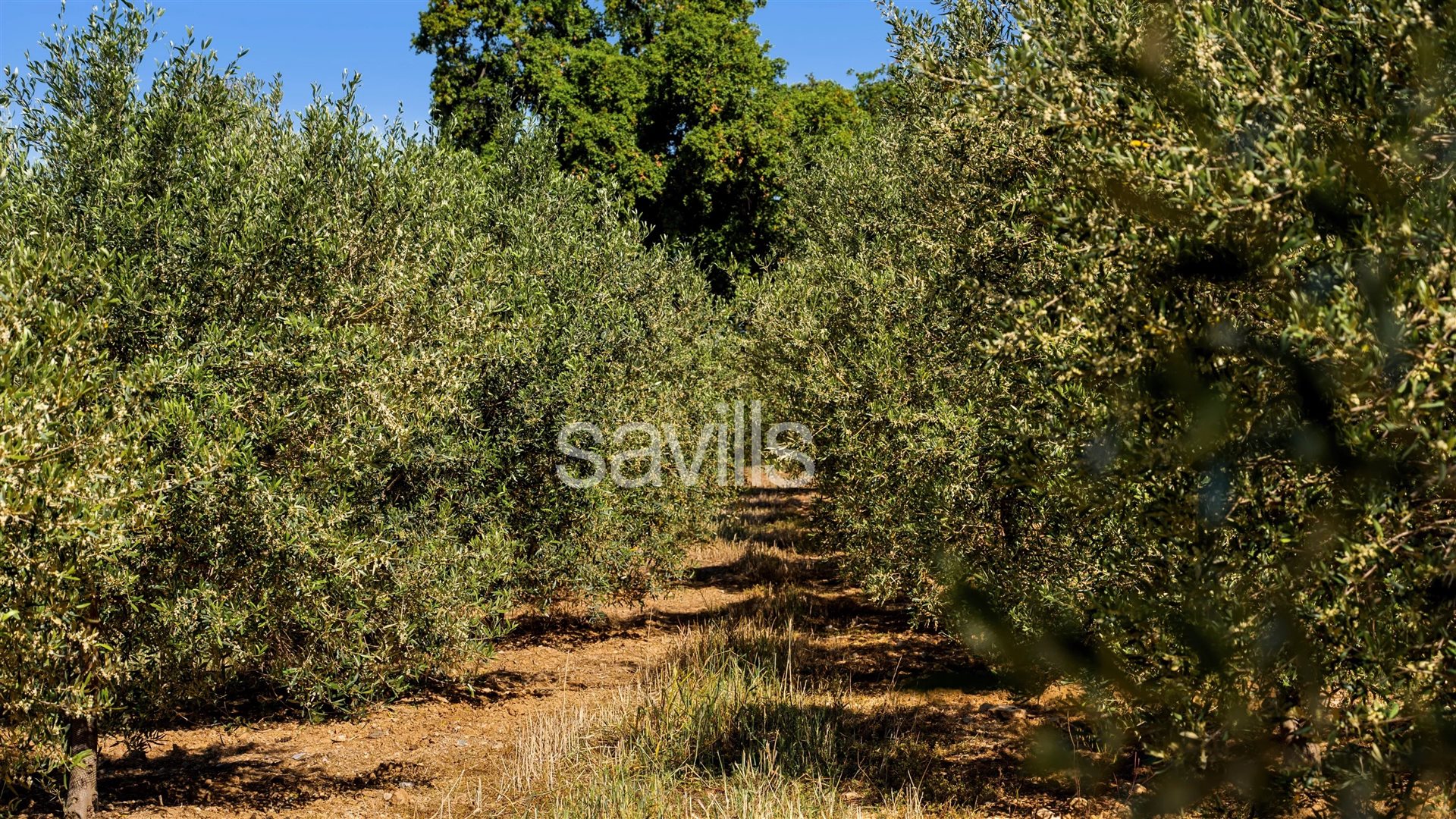 Maison à vendre, 450m², Sainte-Maxime