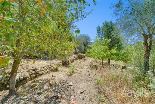 La Turbie (Alpes-Maritimes)