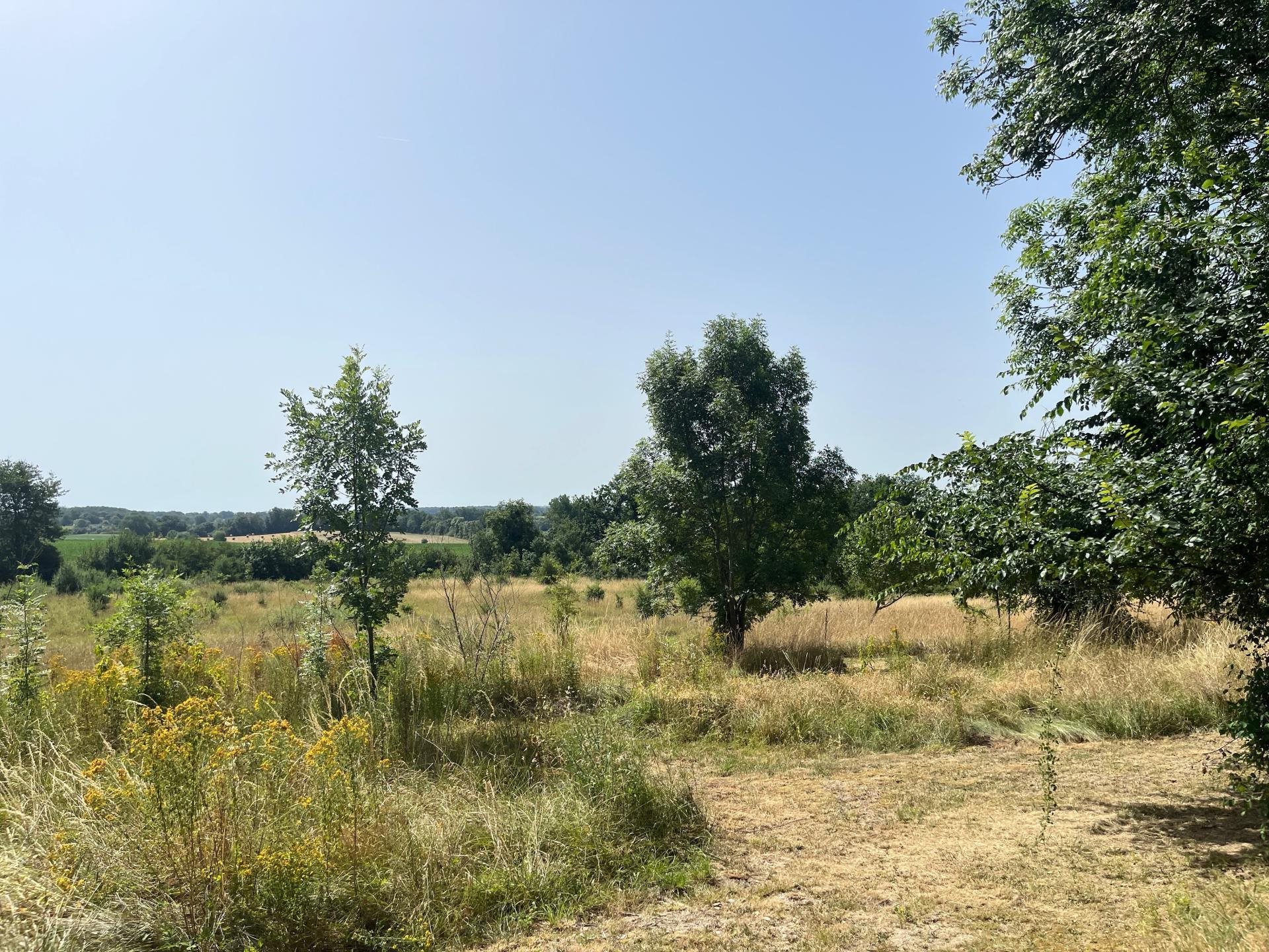 Maison à vendre, 122m², Beaumontois en Périgord