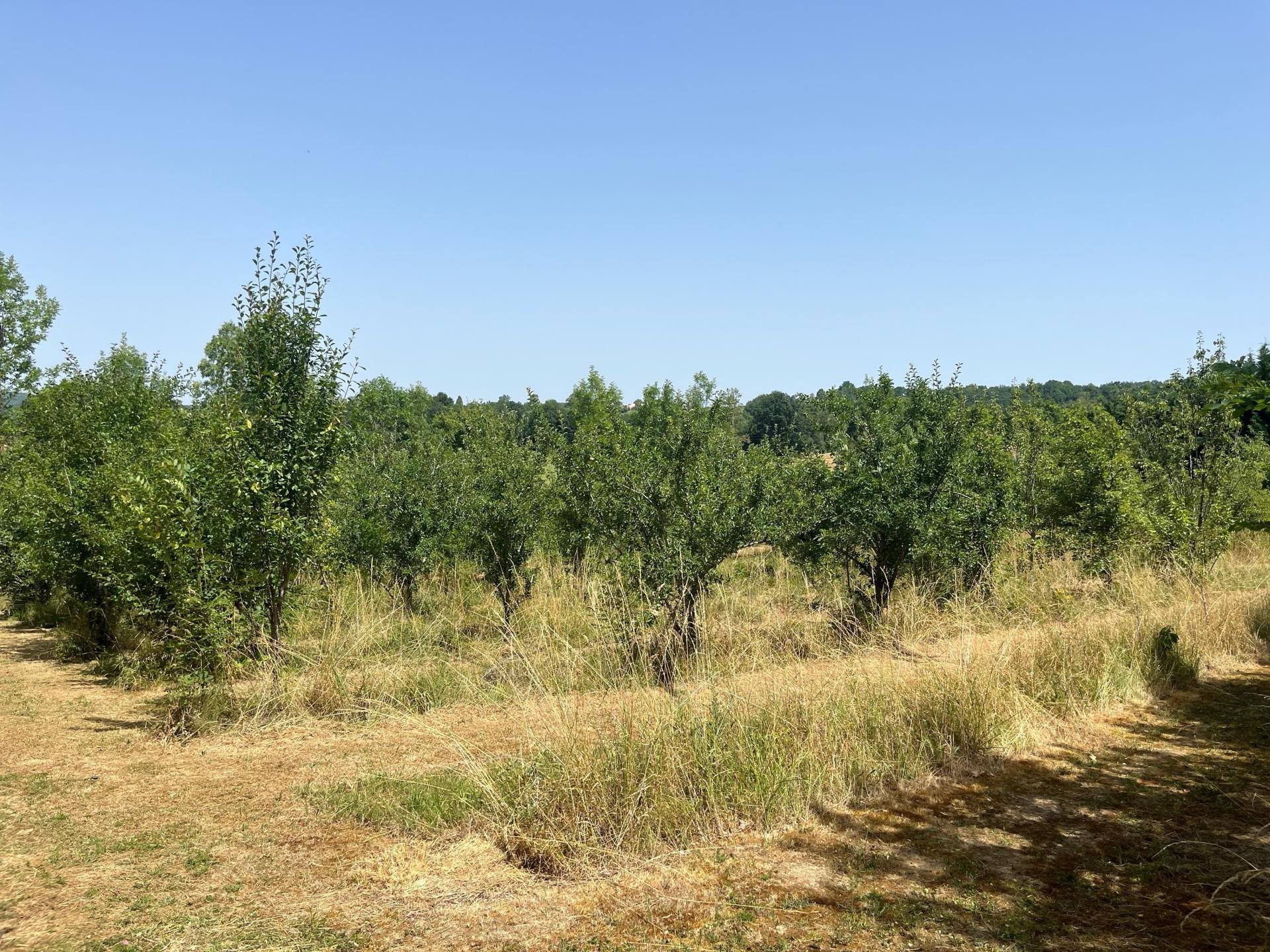 Maison à vendre, 122m², Beaumontois en Périgord