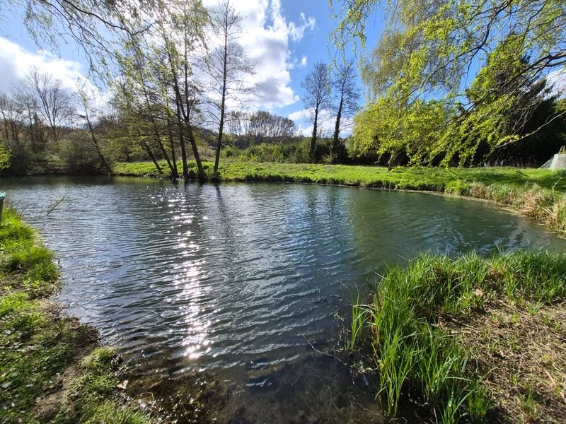 Maison à vendre, 335m², Chantemerle-les-Blés
