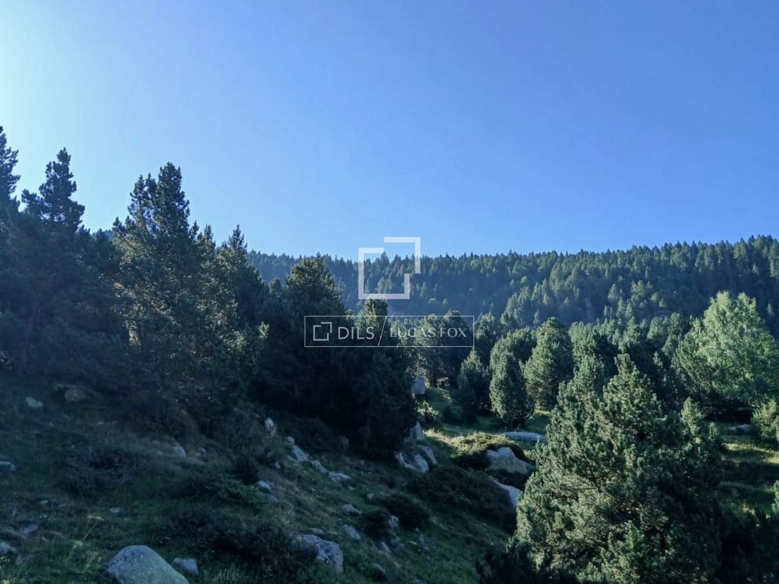 Land for sale in Encamp · 6 of 18