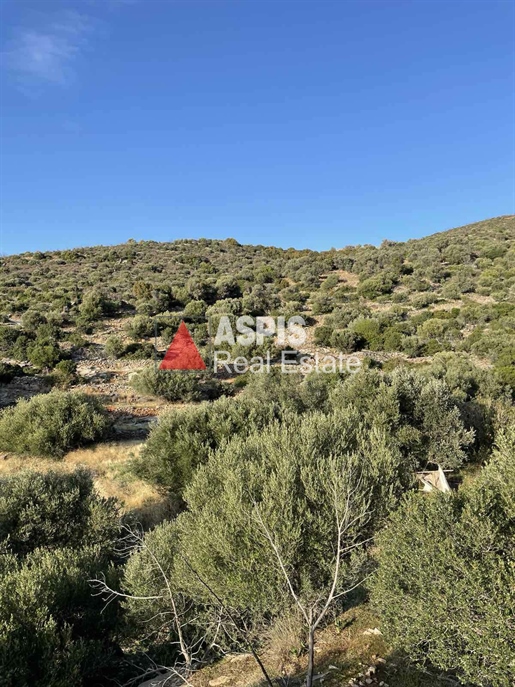 Parcel te koop, Marmari, 25.000 m2, €500.000