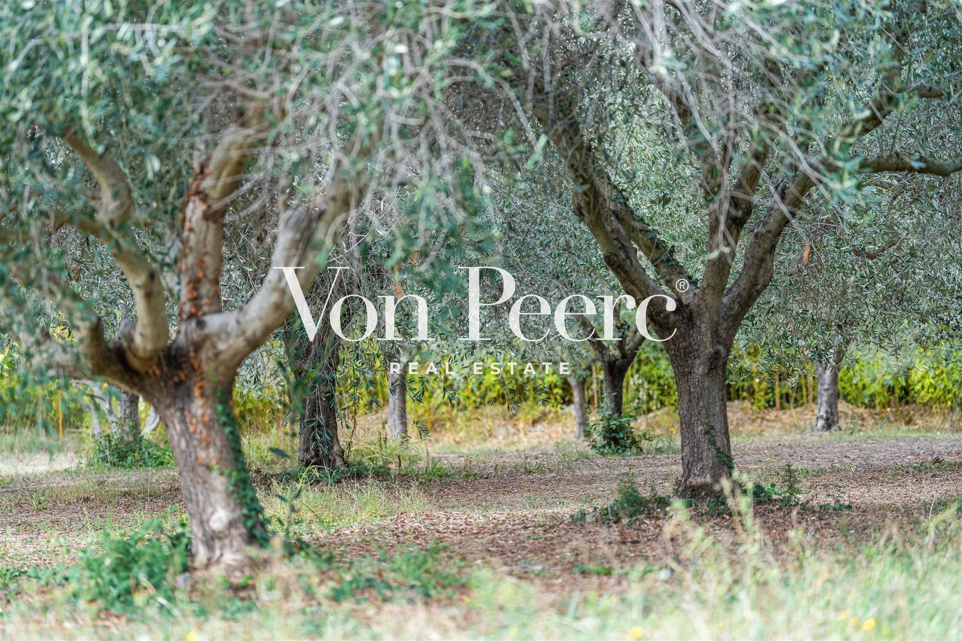 Maison à vendre, 230m², Maussane-les-Alpilles
