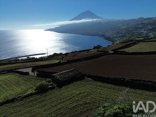 Advert pic 0