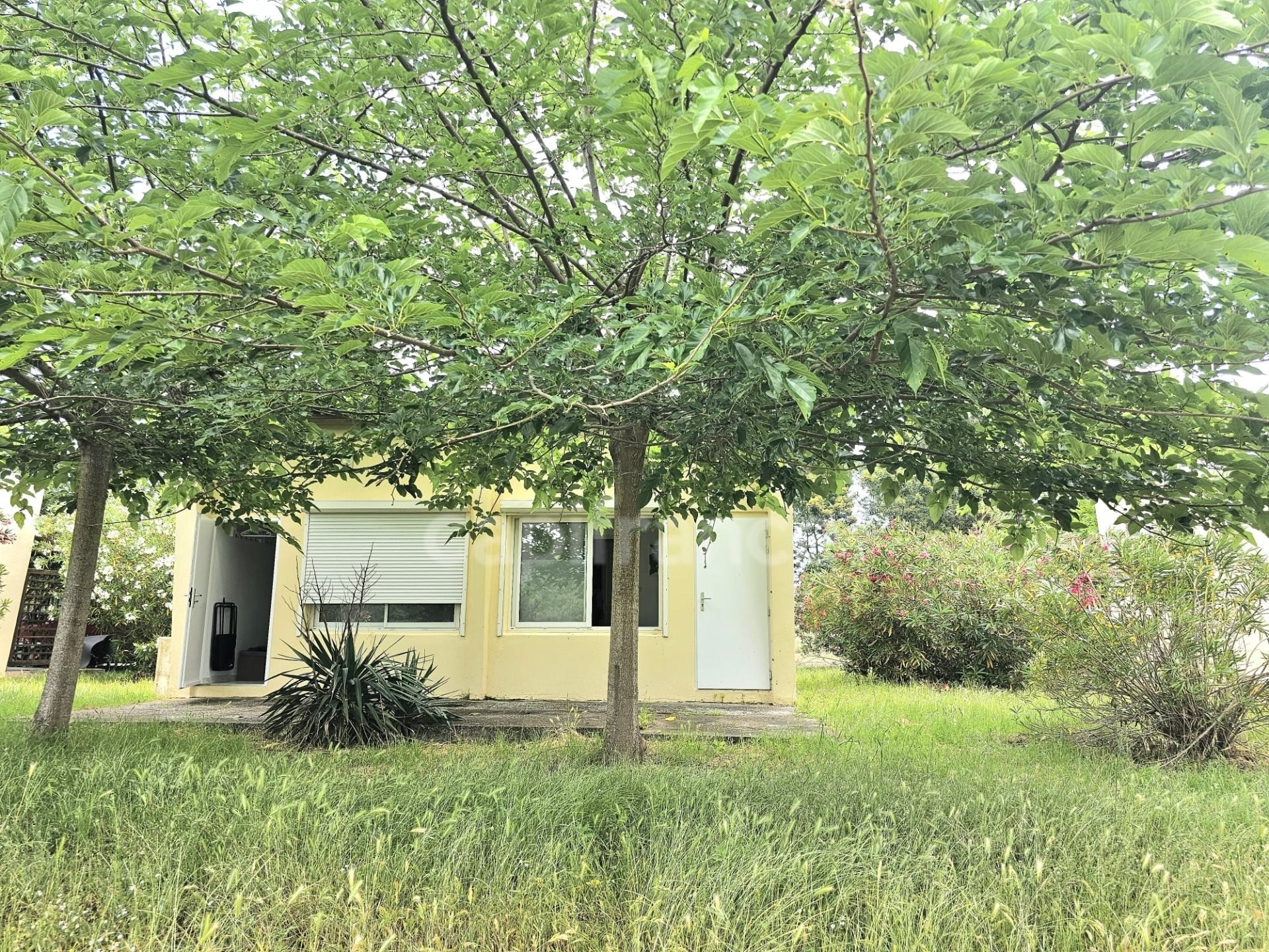 Maison à vendre, 31m², Castellare-di-Casinca