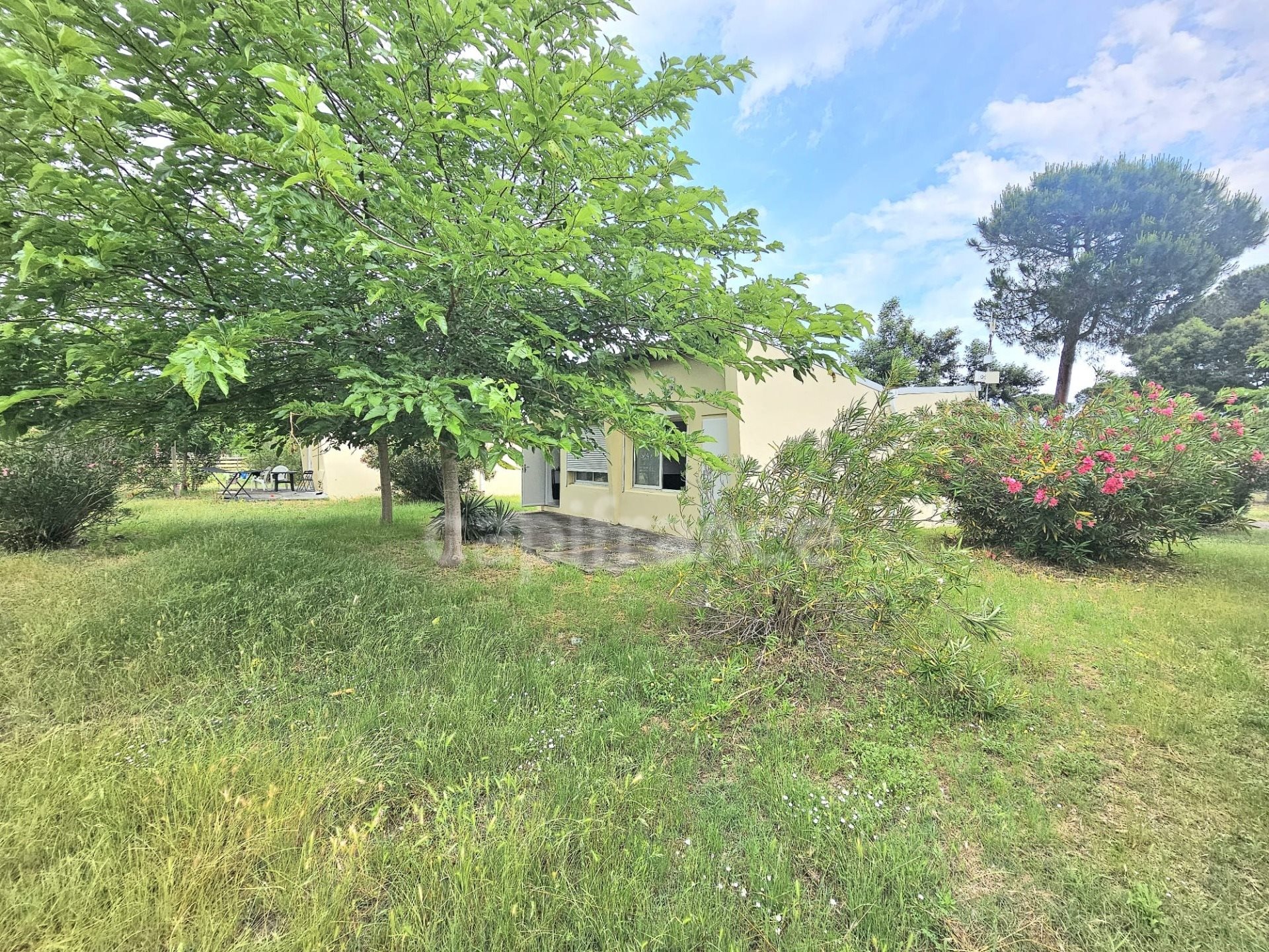 Maison à vendre, 31m², Castellare-di-Casinca