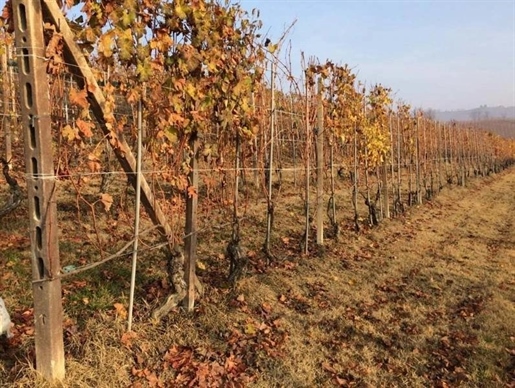 Advert pic 0
