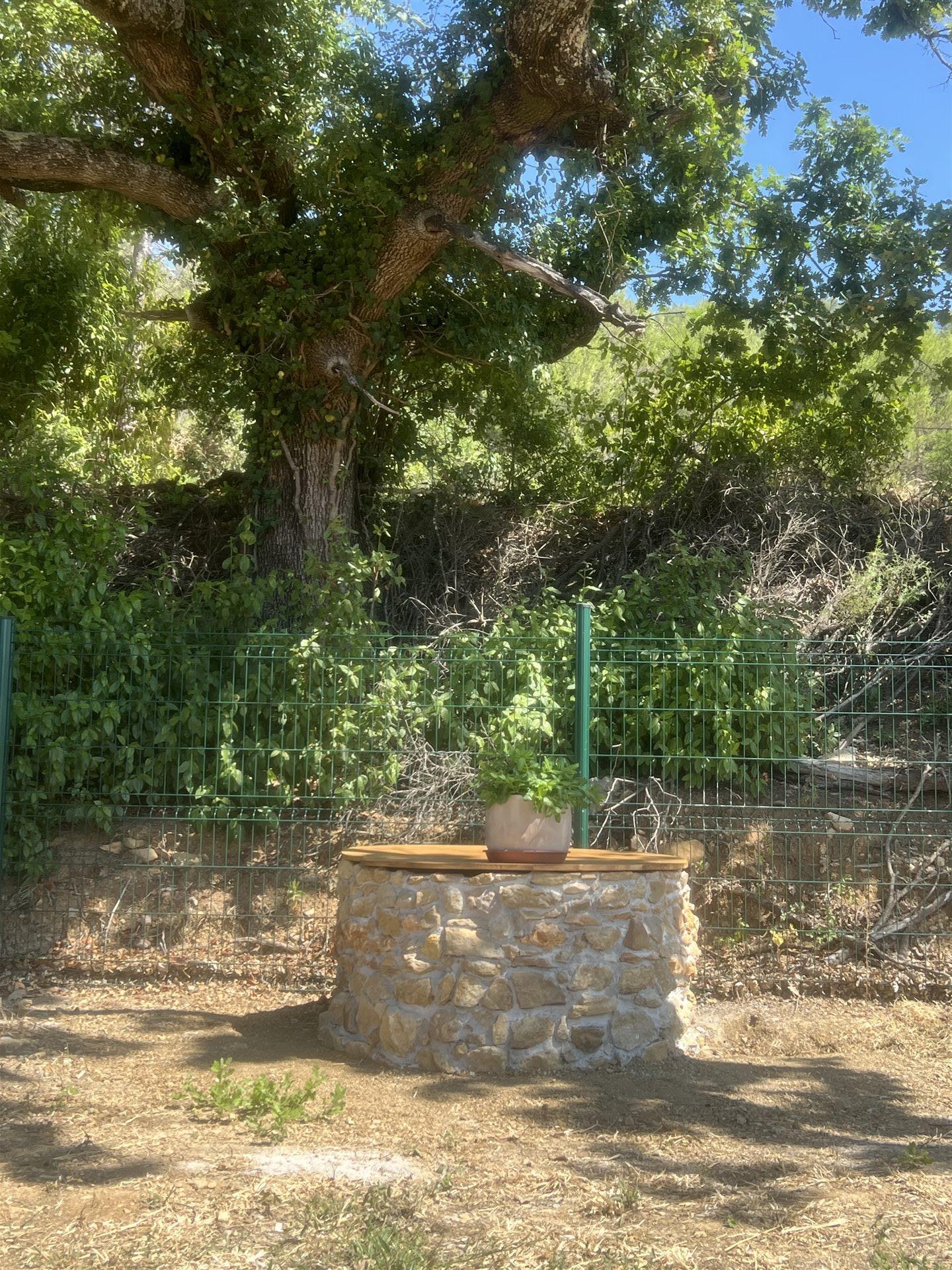 Maison à vendre, 220m², Camps-la-Source