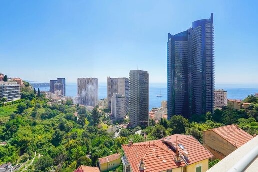 Appartement 2 pièces 44 m² · à Beausoleil · 44 m² · 490 000 €