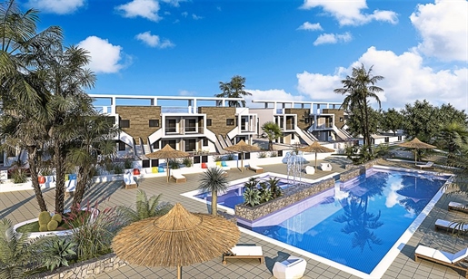 Advert pic 0