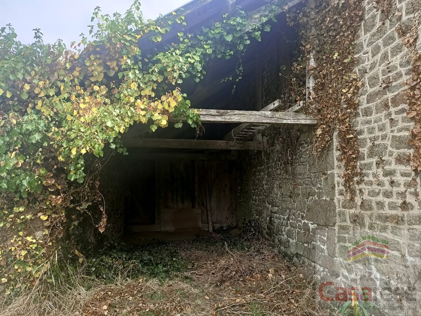 Maison à vendre, 294m², Saint-Georges-de-Reintembault