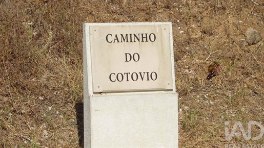 Ferreiras (Albufeira) photo 3