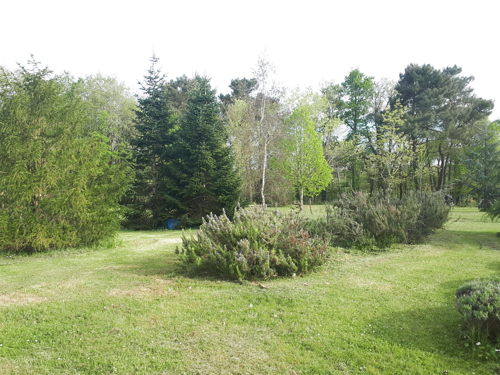 Maison à vendre, 109m², Ciran