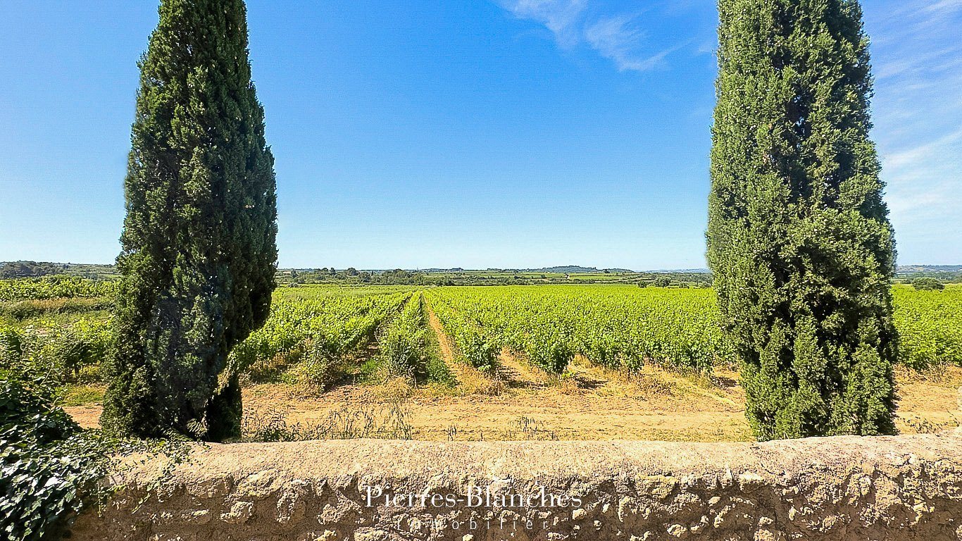 Maison à vendre, 560m², Pézenas