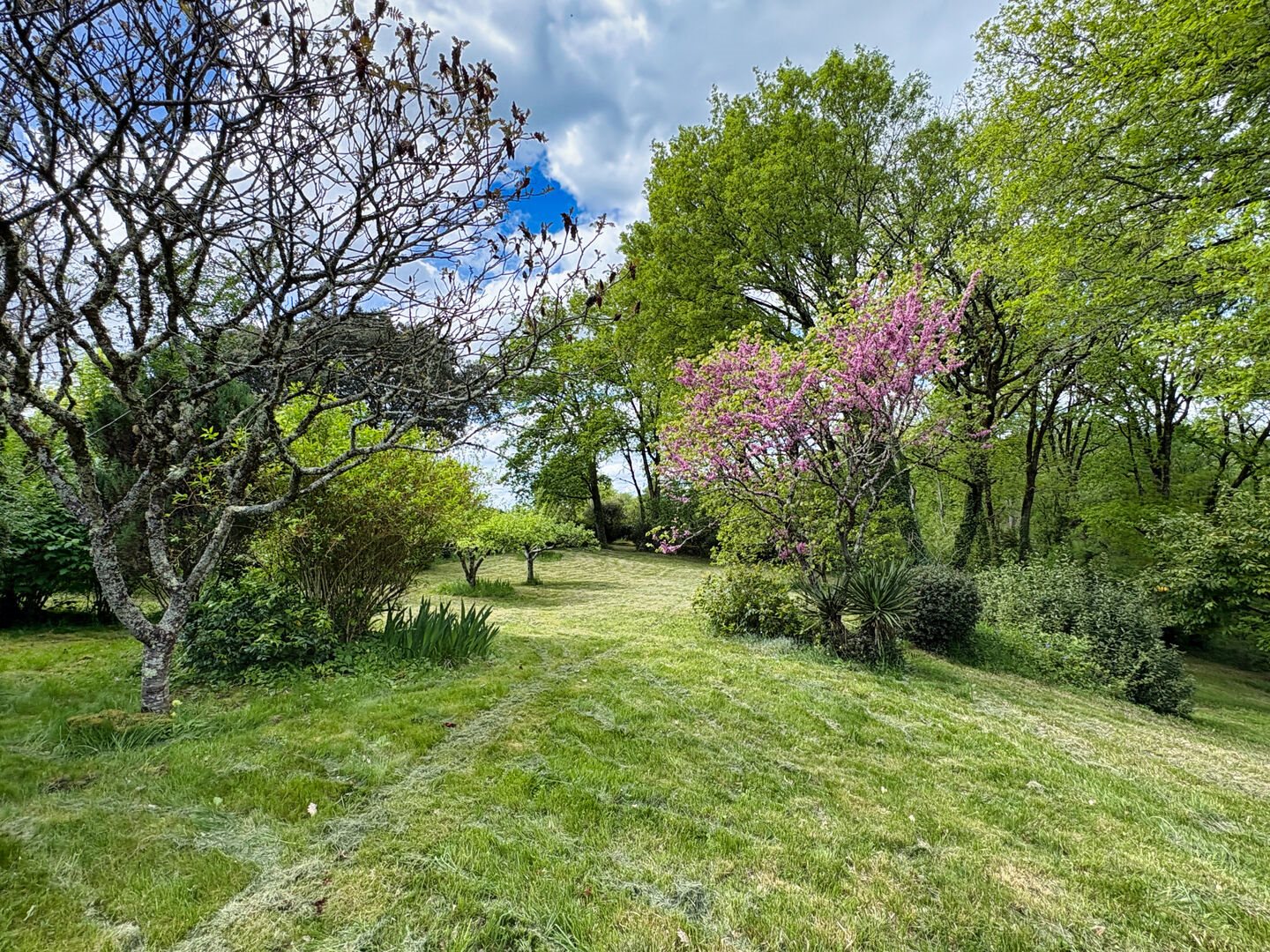 Maison à vendre, 171m², Sarlat-la-Canéda