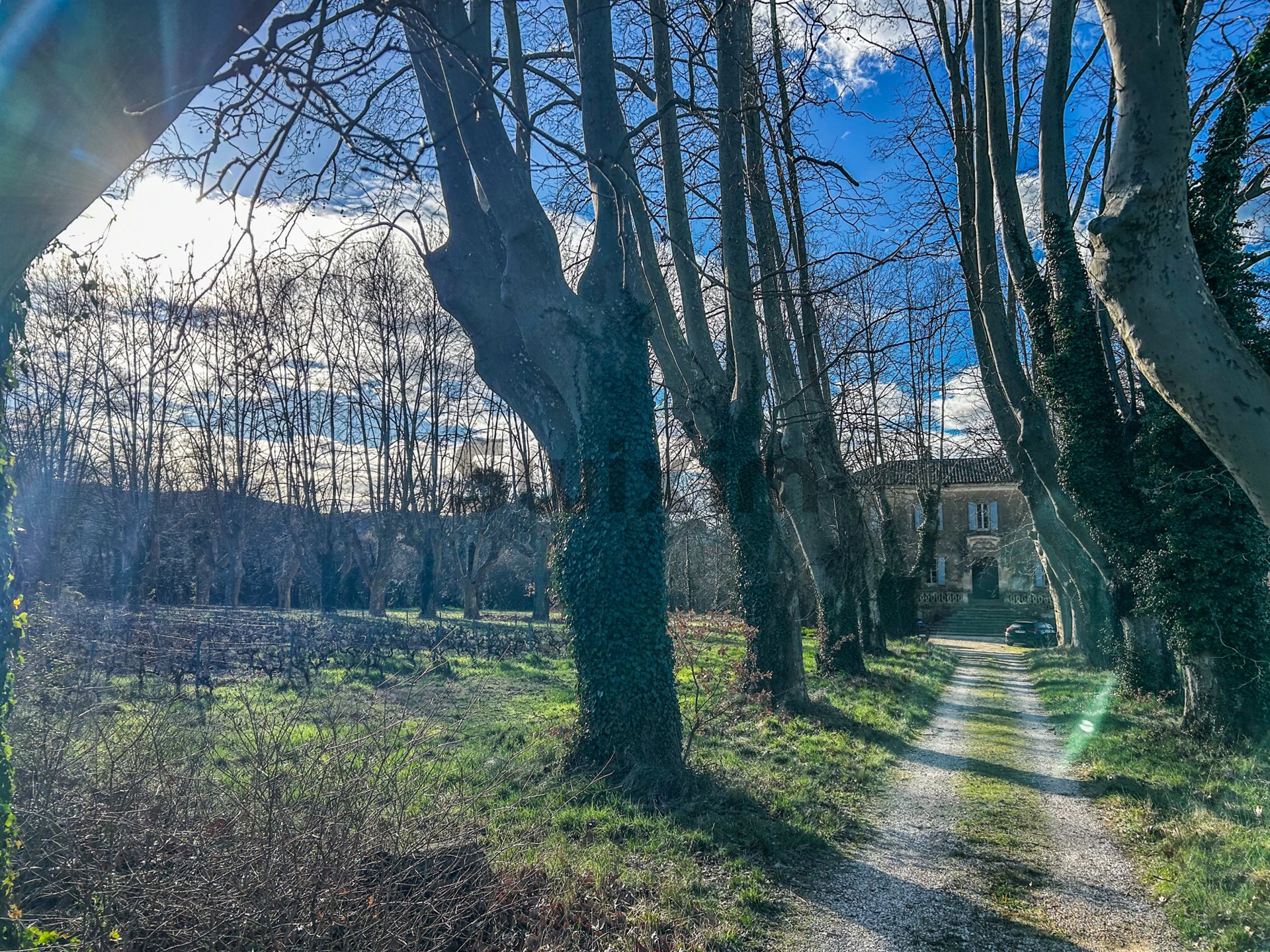 Maison à vendre, 1000m², Tresques