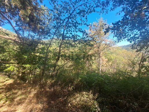 Terrain 3133 m² · à Vialas · 39 000 €