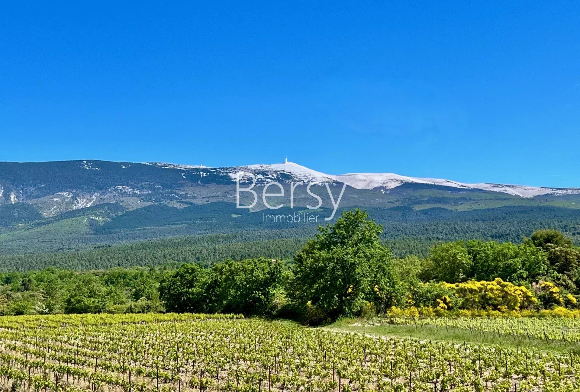 Maison à vendre, 210m², Bédoin