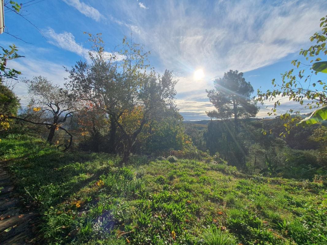 Detached Farmhouse - Land with Source - Near Les Vans - Bild 2