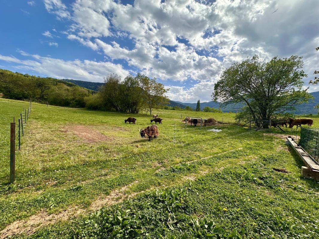 Maison à vendre, 345m², Puivert