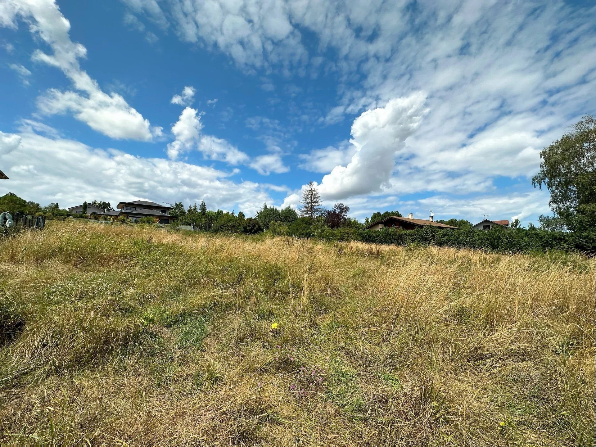 Purchase: Land (74100) - Widok 2