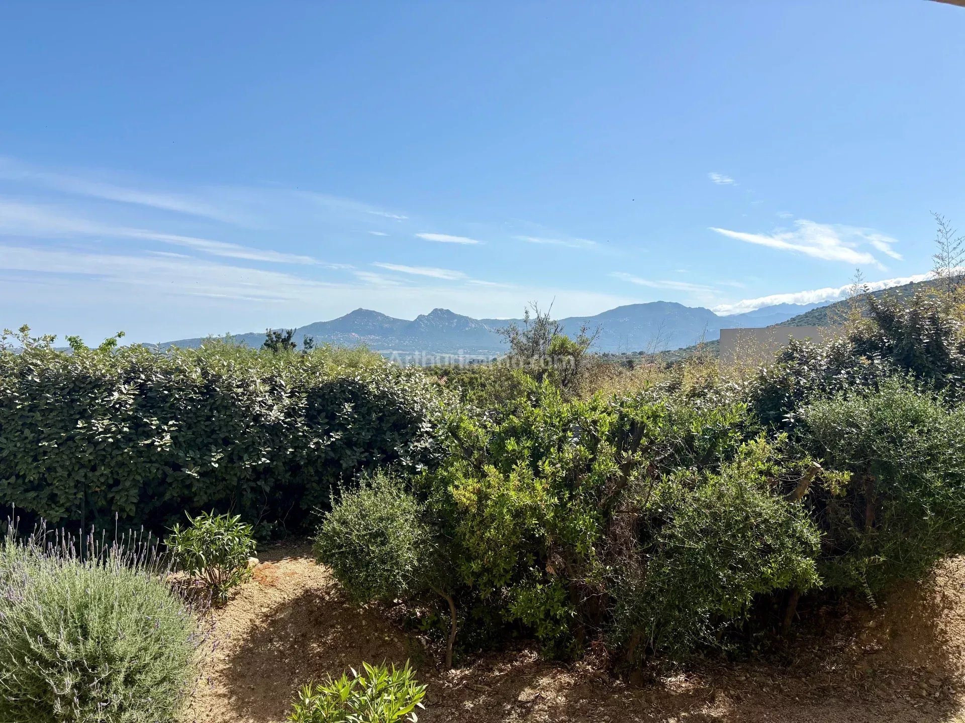 Appartement à vendre, 62m², Calvi