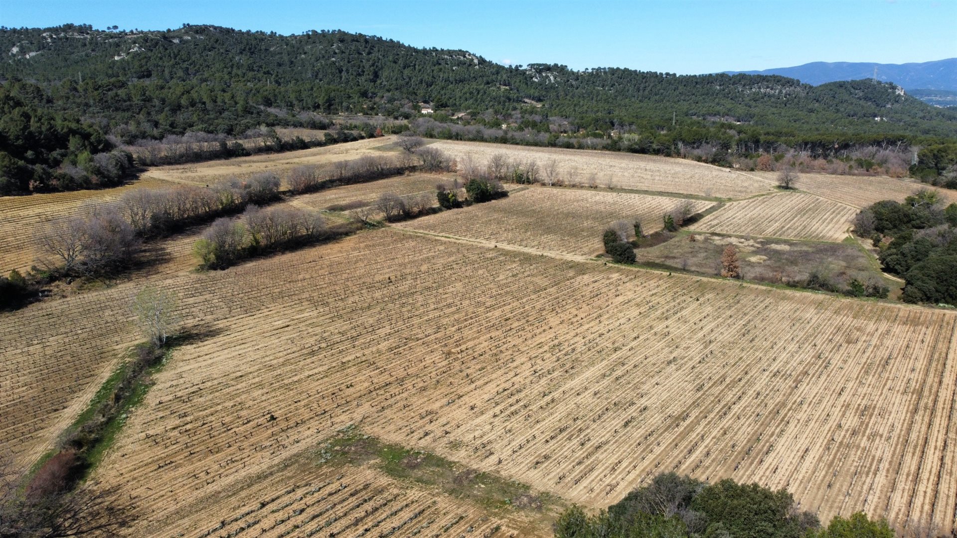 House in Aix-en-Provence, Cuques - View 3
