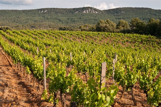 Advert pic 0