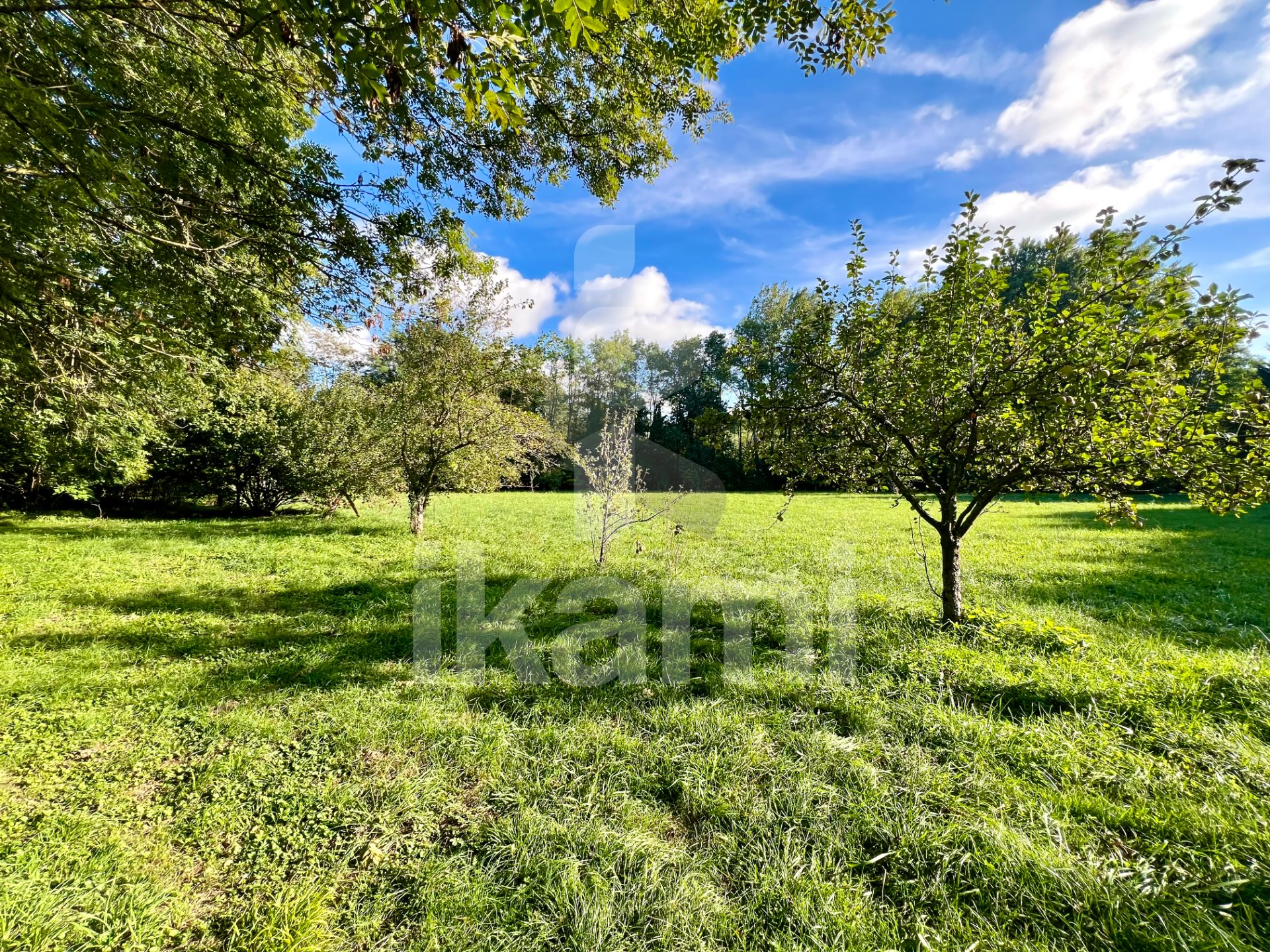 Maison à vendre, 180m², Hauterives