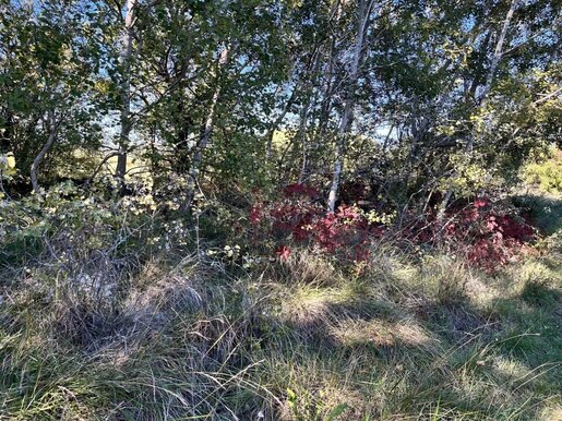 Terrain 8962 m² · à Pujaut · 11 962 €